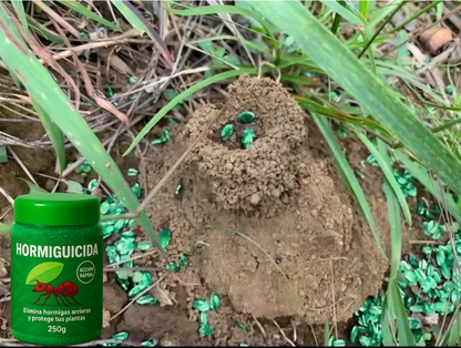 🔥Hormiguicida Ultra Potente | Exterminador de la Hormiga ARRIERA🐜