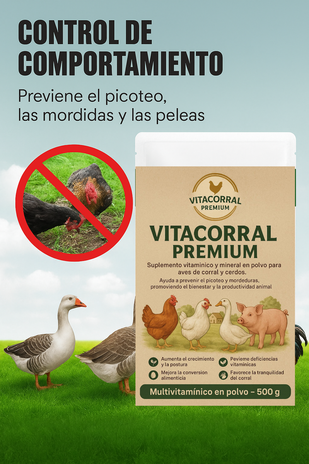 🐓 Multivitamínico Nutricional en Polvo Antipicoteo para Aves (500 g) 🔥 Evita el canibalismo y mejora su salud 🐣✨ ¡Resultados desde los primeros días! 🐔