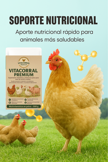 🐓 Multivitamínico Nutricional en Polvo Antipicoteo para Aves (500 g) 🔥 Evita el canibalismo y mejora su salud 🐣✨ ¡Resultados desde los primeros días! 🐔