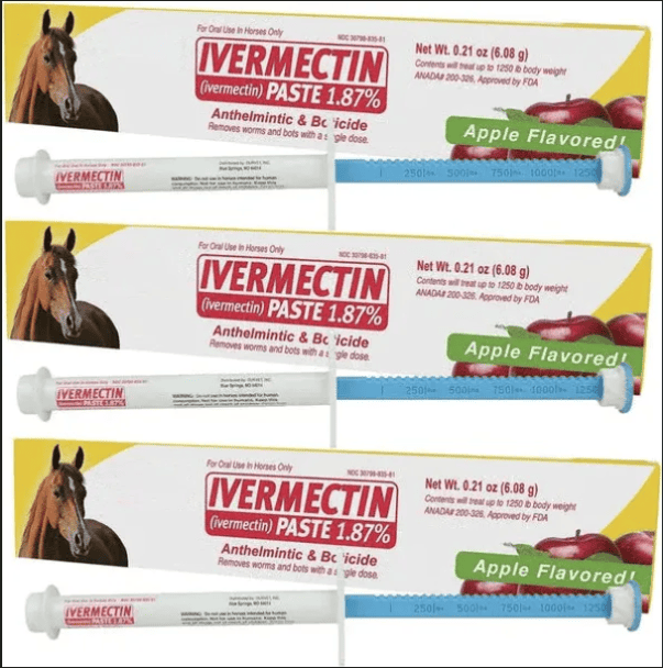 Último día: 50% de descuento en pasta de ivermectina para caballos al 1,87%, tubos de 6,08 g