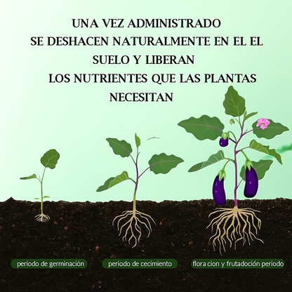 🌞Fertilizante orgánico universal en tabletas de liberación lenta para jardinería doméstica®