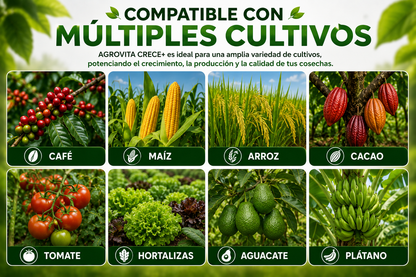 AGROVITA CRECE+ 🌱Hormona Agrícola | Más crecimiento. Más cosecha. Más rentabilidad.