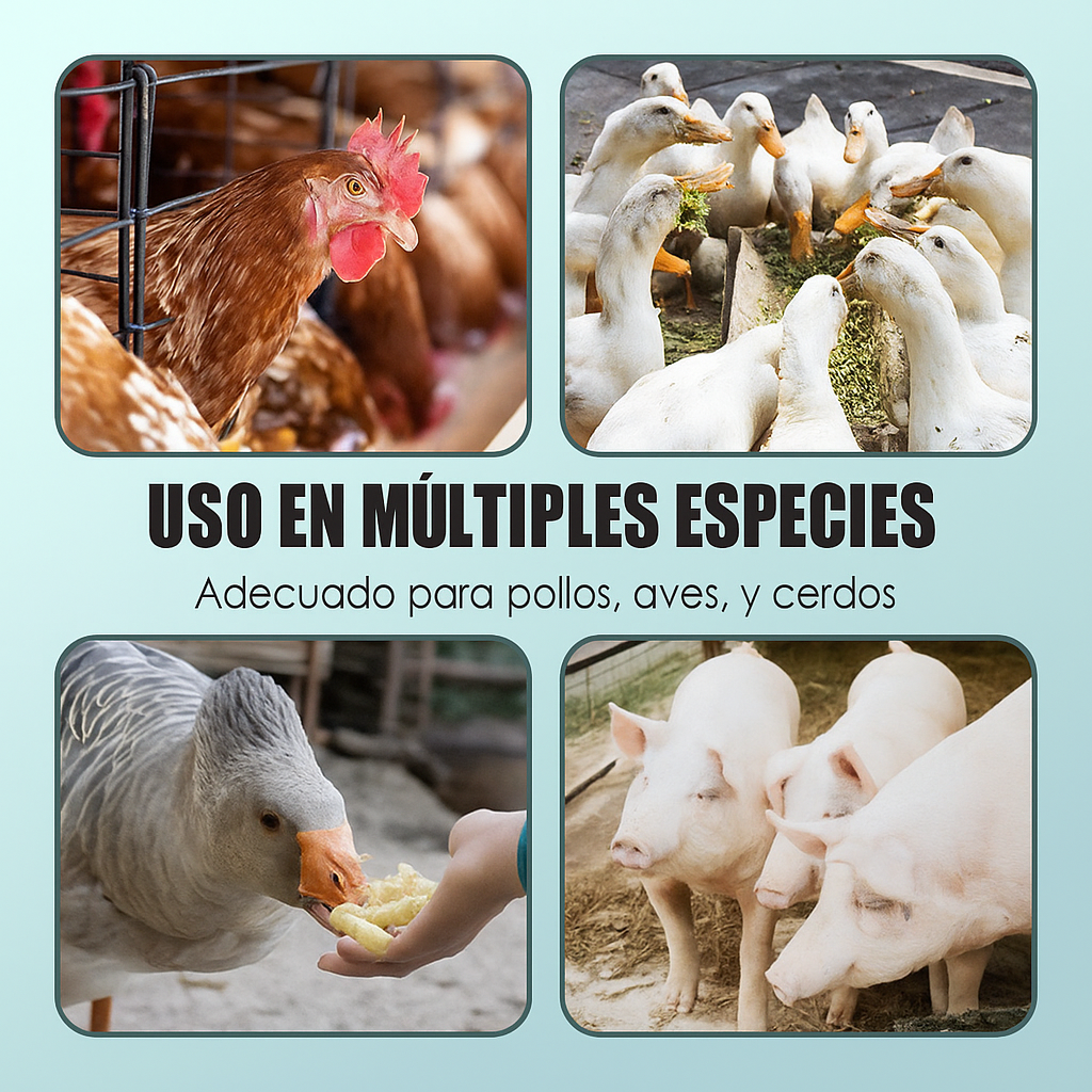 🐓 Multivitamínico Nutricional en Polvo Antipicoteo para Aves (500 g) 🔥 Evita el canibalismo y mejora su salud 🐣✨ ¡Resultados desde los primeros días! 🐔