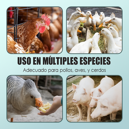 🐓 Multivitamínico Nutricional en Polvo Antipicoteo para Aves (500 g) 🔥 Evita el canibalismo y mejora su salud 🐣✨ ¡Resultados desde los primeros días! 🐔