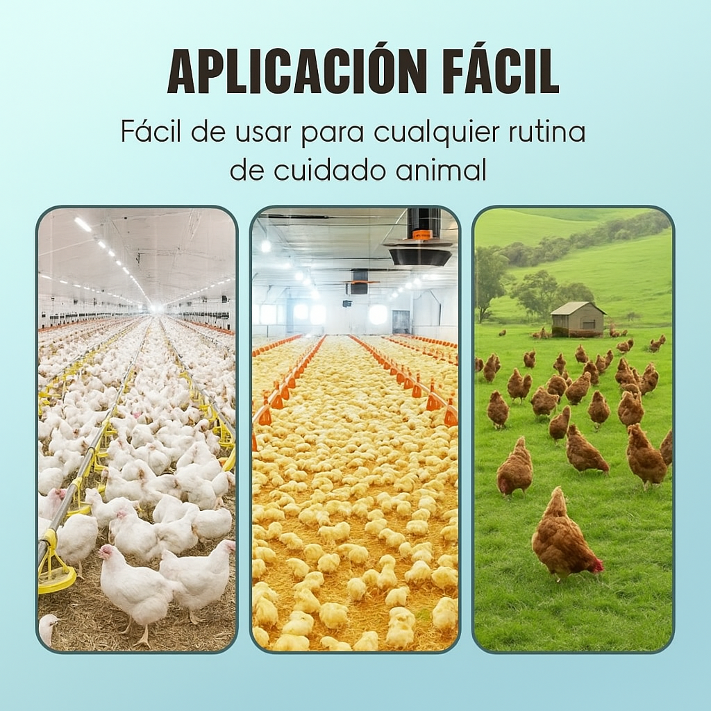 🐓 Multivitamínico Nutricional en Polvo Antipicoteo para Aves (500 g) 🔥 Evita el canibalismo y mejora su salud 🐣✨ ¡Resultados desde los primeros días! 🐔