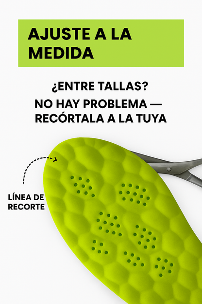 Plantillas Para Hacer Deporte Bwoost®️