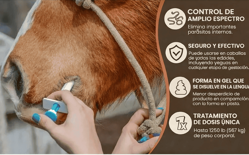 Último día: 50% de descuento en pasta de ivermectina para caballos al 1,87%, tubos de 6,08 g