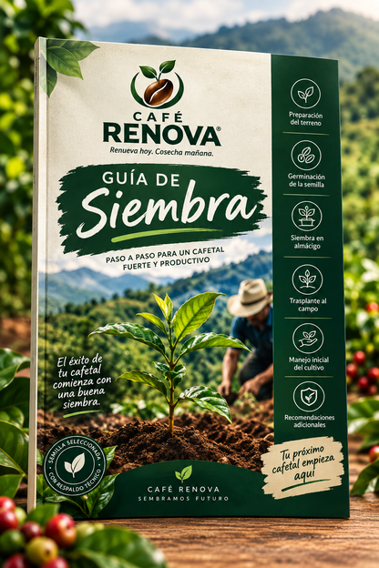 🌱Semilla de Cafe RENOVA | Oferta de lanzamiento y Recibe Gratis Guía de Siembra🔥