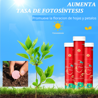 🌞Fertilizante orgánico universal en tabletas de liberación lenta para jardinería doméstica®