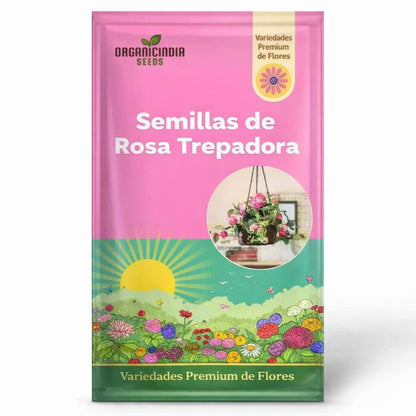 🌸Paquetes de semillas modernas de rosas trepadoras🌺 | Super Oferta